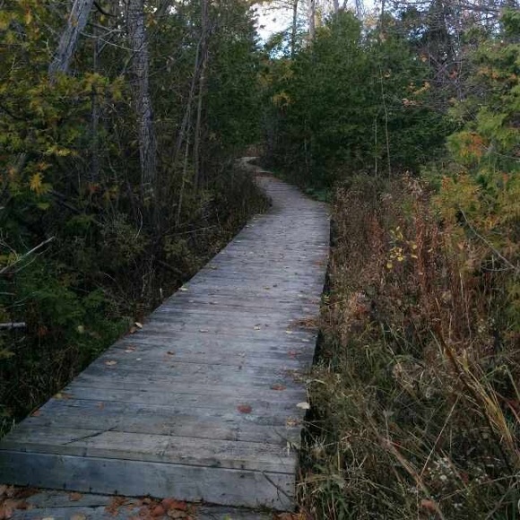 Meet your Posher, Victoria - Picture 1 of 1